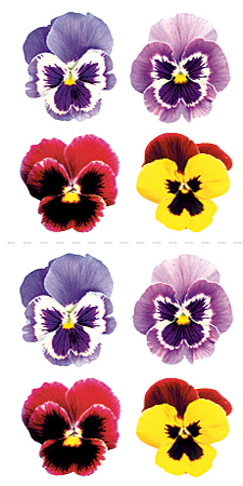 Picture of Stickypix Stickers