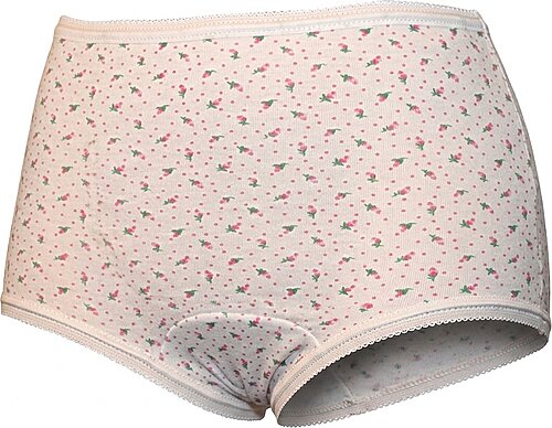 Picture of Girls' Rosebud Brief