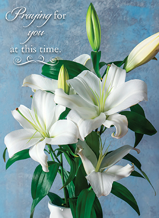 Picture of Lilies