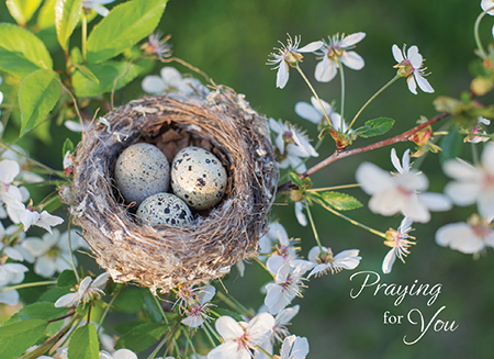 Picture of Songbirds