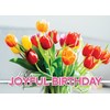 Picture of Joyful Birthday