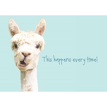 Picture of Hang in There