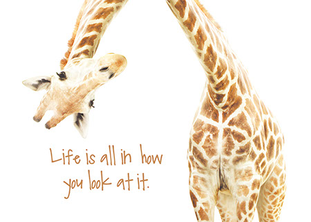 Picture of Hang in There