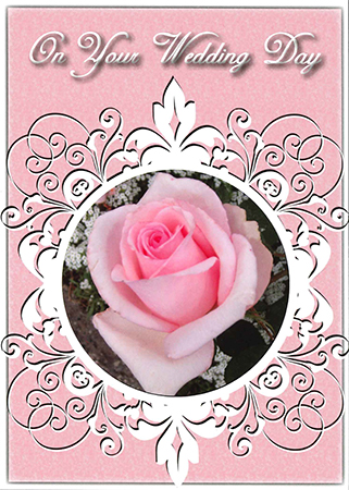 Picture of Wedding Roses