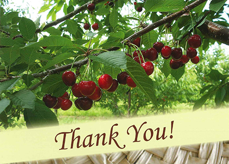 Picture of Ricj Rewards