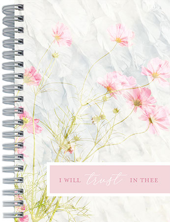 Picture of Faith View Journal