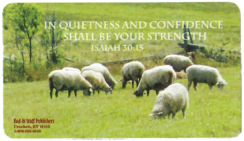 Picture of Scripture Verse Magnet