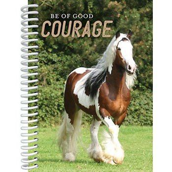 Picture of Faith View Fun Tablets