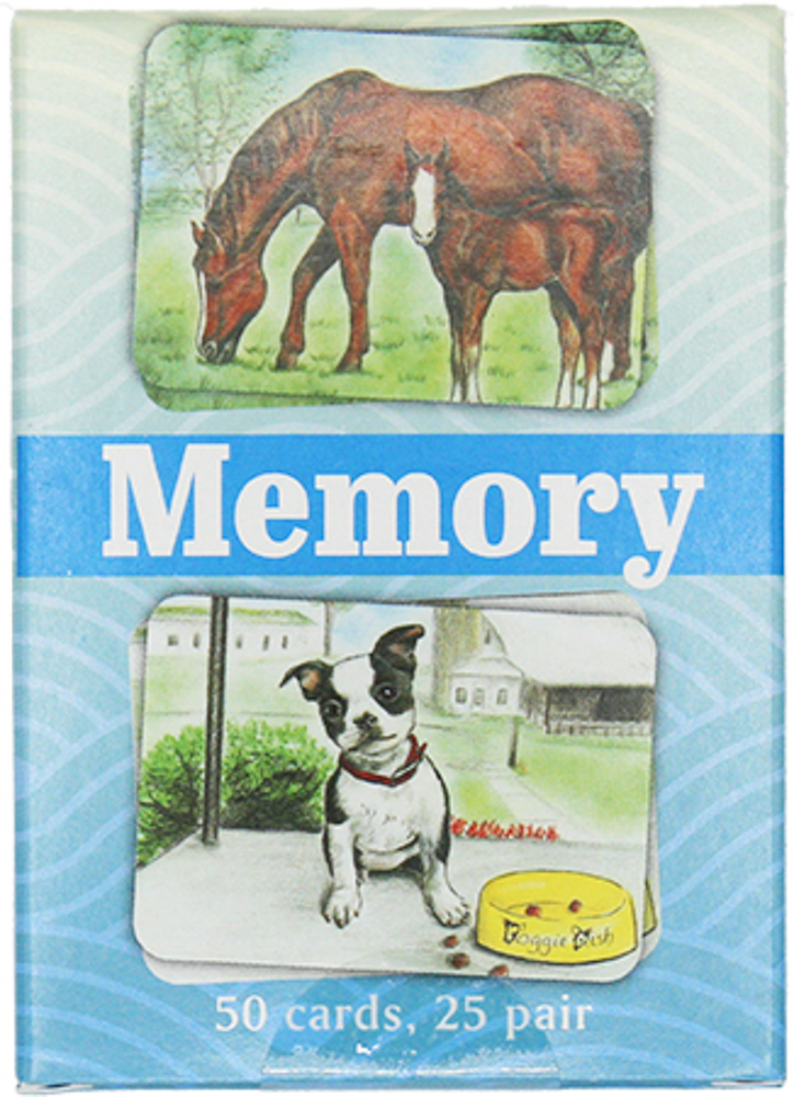 Picture of Memory Game