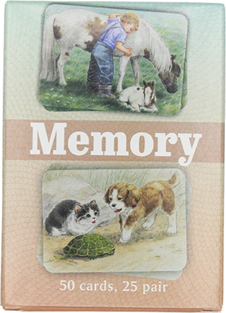 Picture of Memory Game