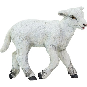 Picture of Lamb