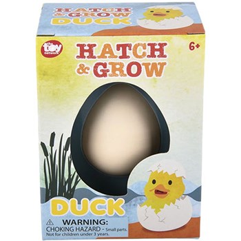 Picture of Hatch and Grow Chick