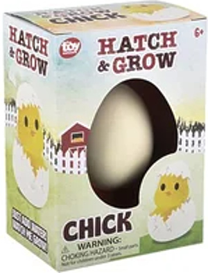 Picture of Hatch and Grow Chick