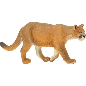 Picture of Mountain Lion