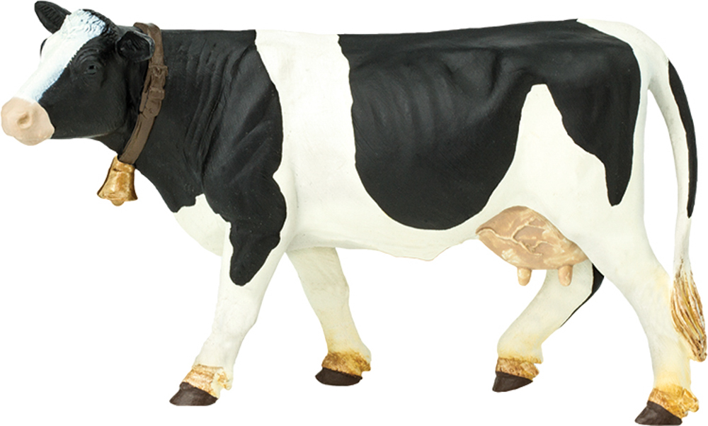 Picture of Holstein Cow