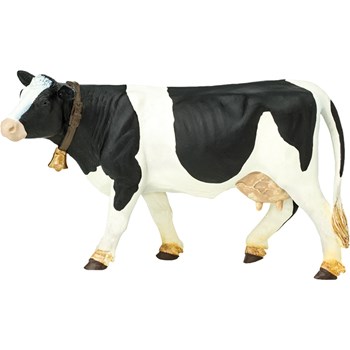 Picture of Holstein Cow