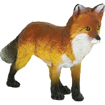 Picture of Fox