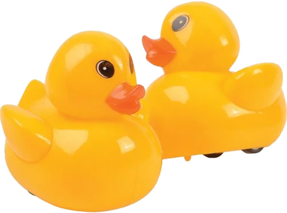 Picture of Pull Back Ducks