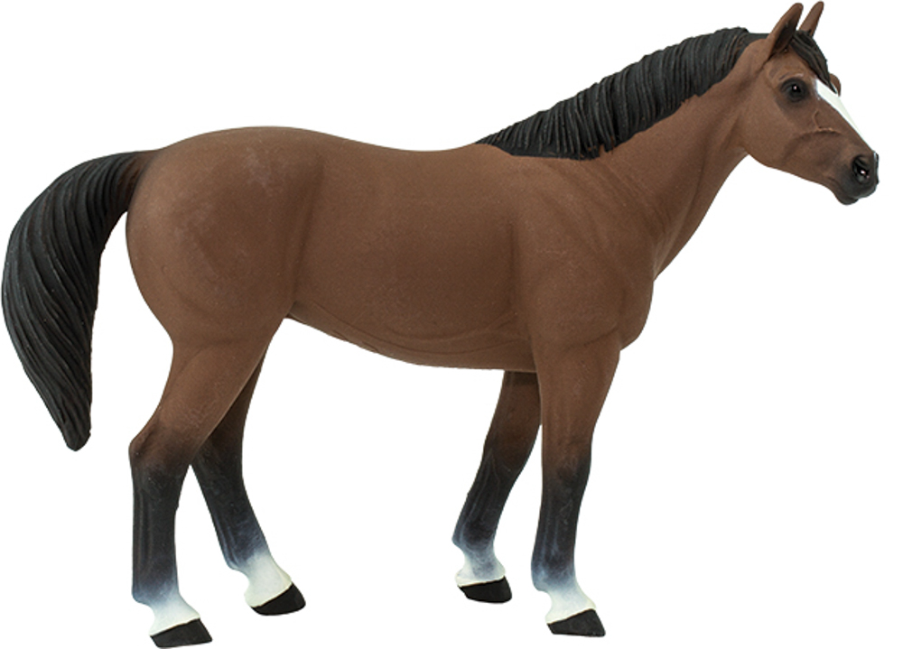 Picture of Quarter Horse Gelding