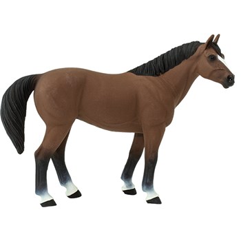 Picture of Quarter Horse Gelding