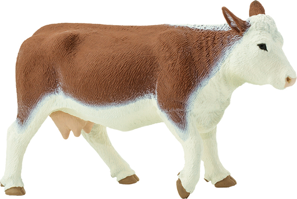 Picture of Hereford Cow