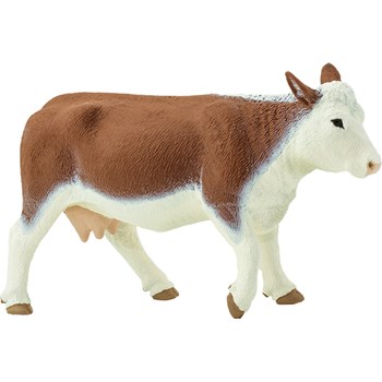 Picture of Hereford Cow