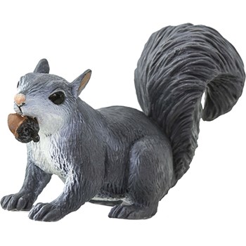 Picture of Gray Squirrel