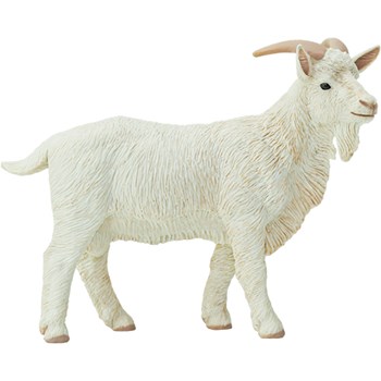 Picture of Billy Goat