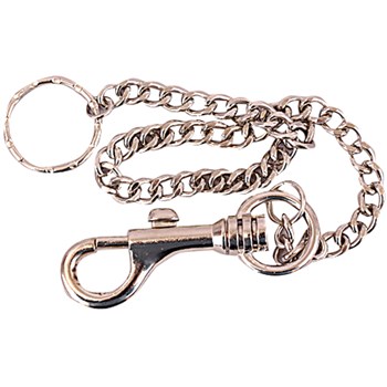 Picture of Chain With Clip 12"