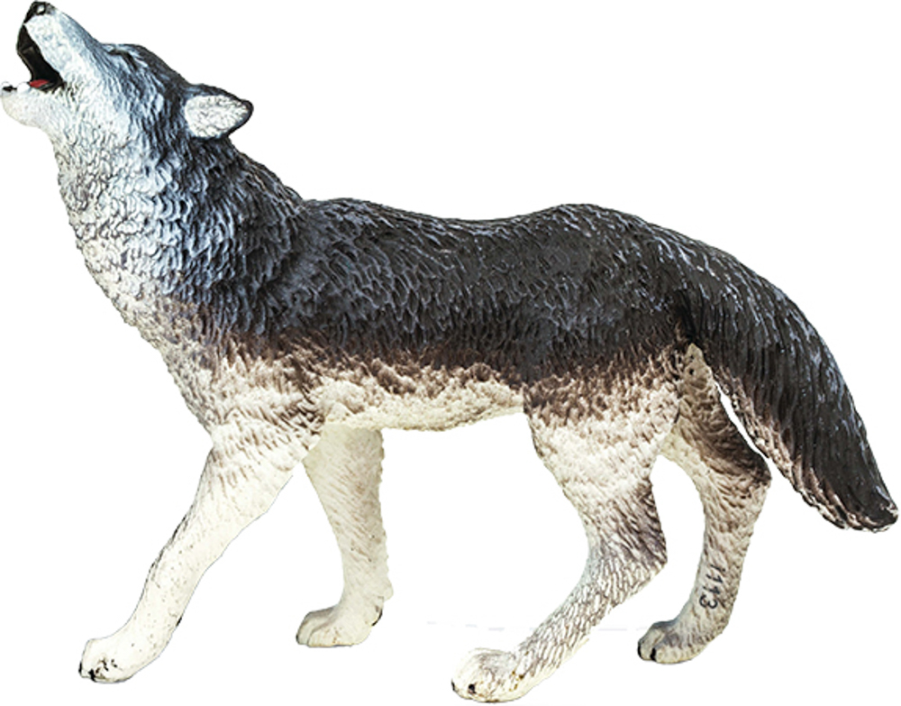 Picture of Gray Wolf