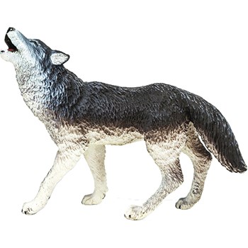 Picture of Gray Wolf