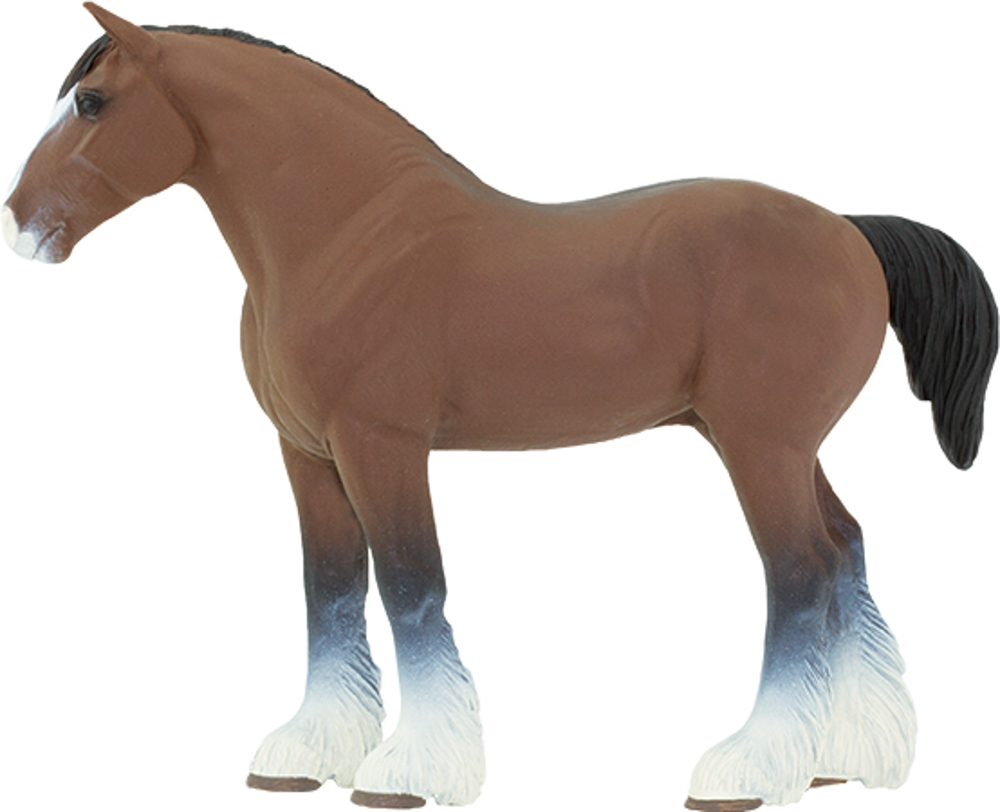 Picture of Clydesdale Stallion