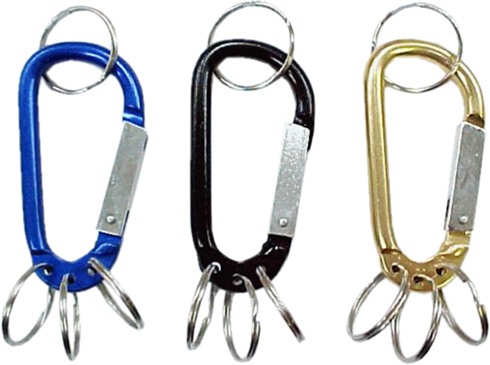 Picture of Carabiner Keychain