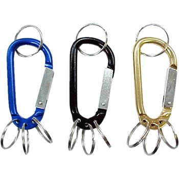 Picture of Carabiner Keychain