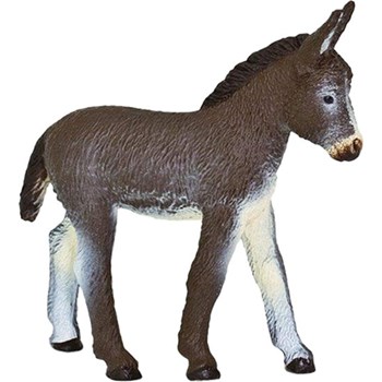 Picture of Donkey Foal